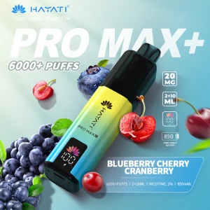 Hayatai ProMax+ 6000 Blueberry Cherry Cranberry